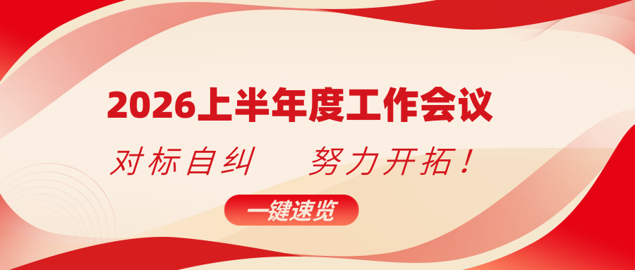 对标自纠找差距，聚力开拓启新局